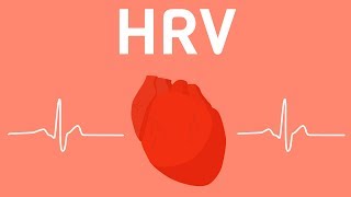 Everything You Should Know About Heart Rate Variability HRV [upl. by Bobseine]