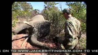 Jack Brittinghams Tanzania Adventures  Elephant Archery Hunt [upl. by Treboh398]